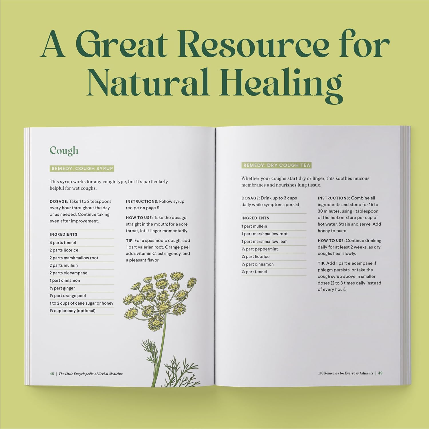 The Little Encyclopedia of Herbal Medicine: 100 Common Remedies for Everyday Ailments