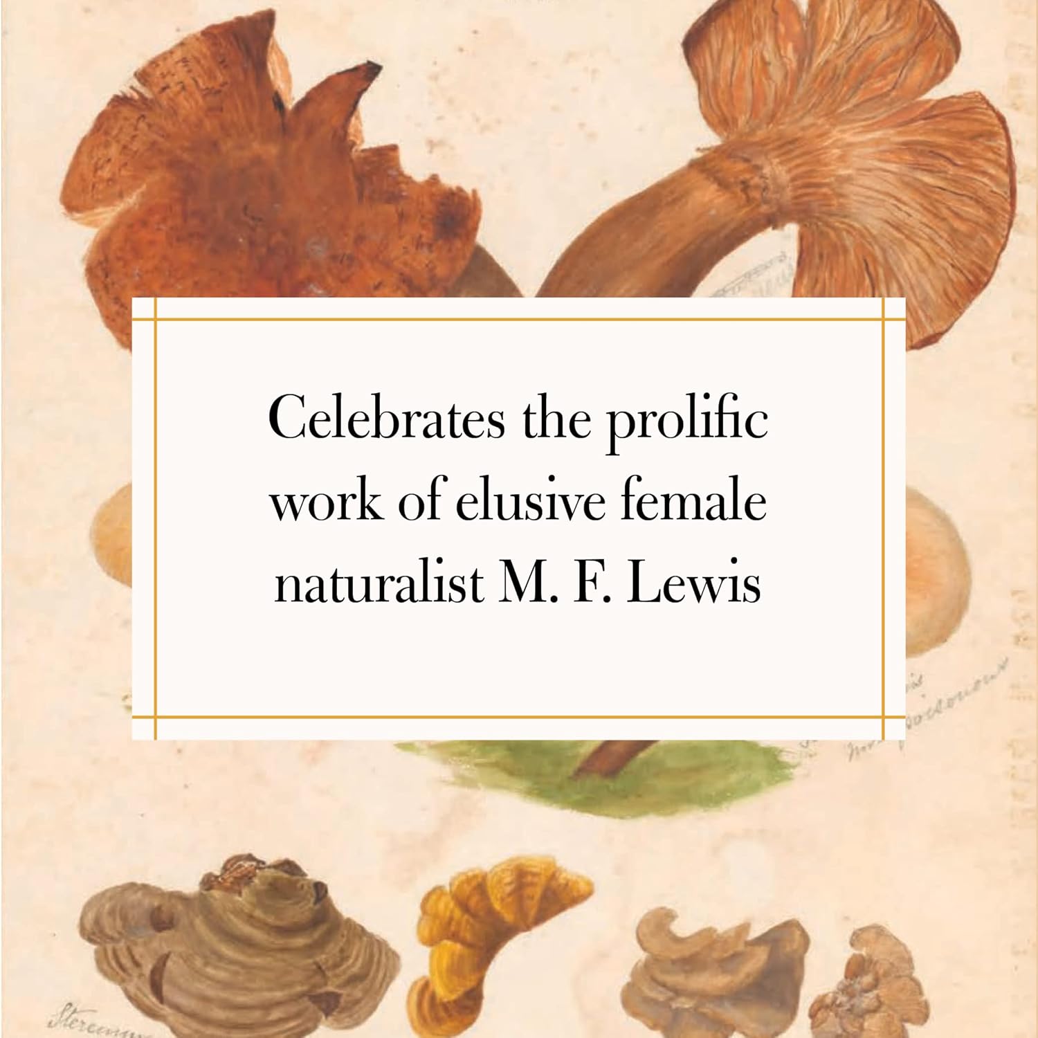 Fungi Collected in Shropshire and Other Neighbourhoods: A Victorian Woman’s Illustrated Field Notes