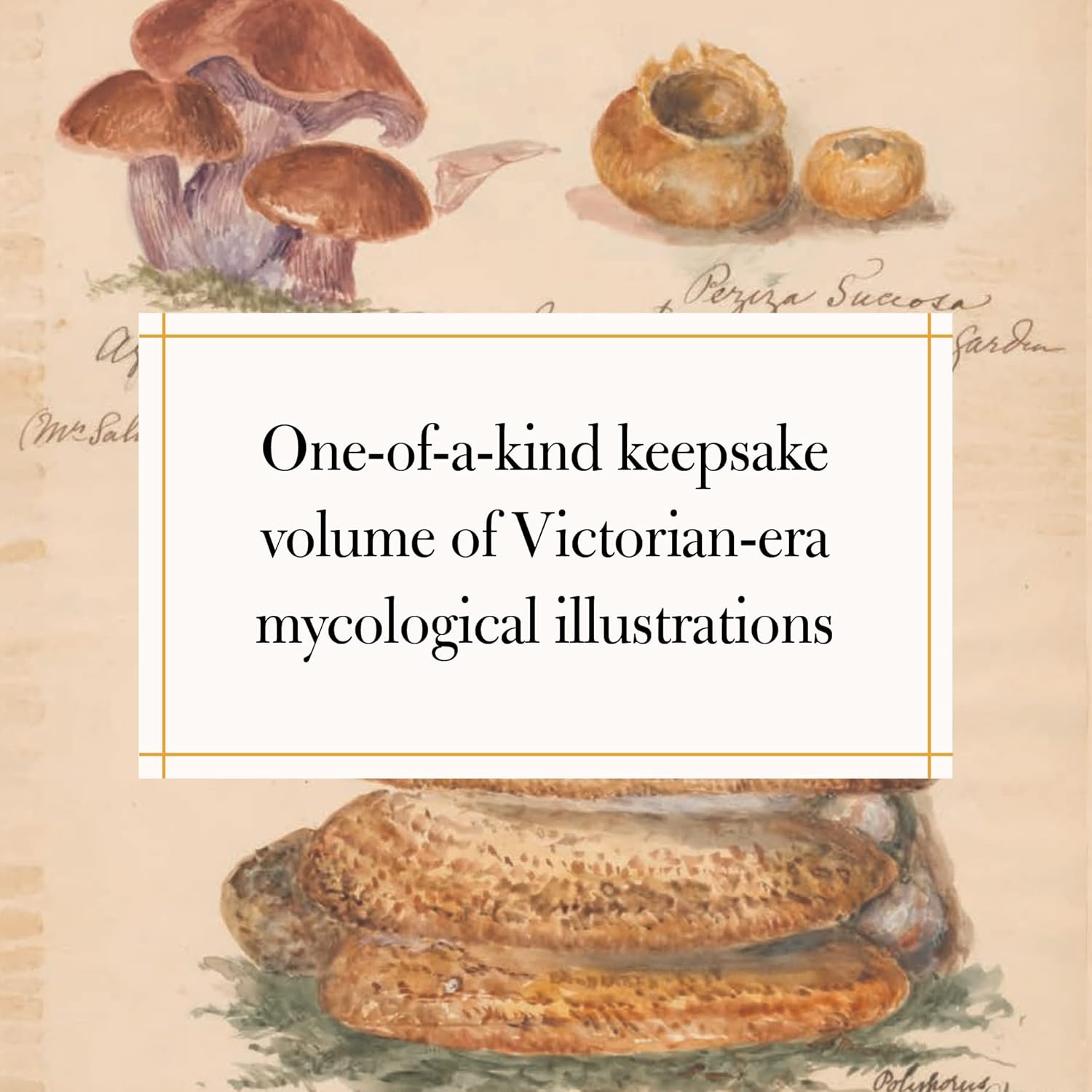 Fungi Collected in Shropshire and Other Neighbourhoods: A Victorian Woman’s Illustrated Field Notes