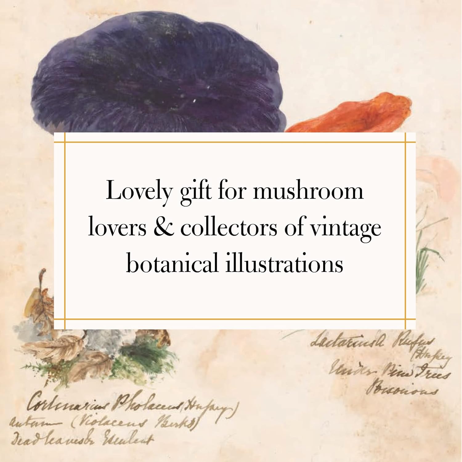 Fungi Collected in Shropshire and Other Neighbourhoods: A Victorian Woman’s Illustrated Field Notes