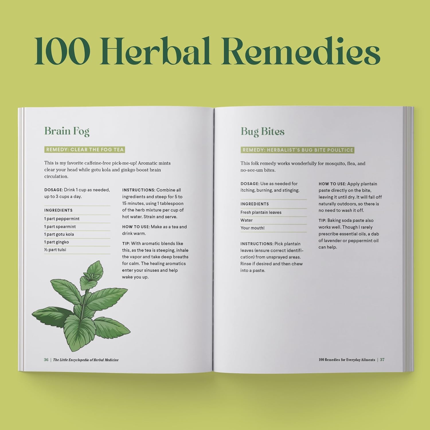 The Little Encyclopedia of Herbal Medicine: 100 Common Remedies for Everyday Ailments