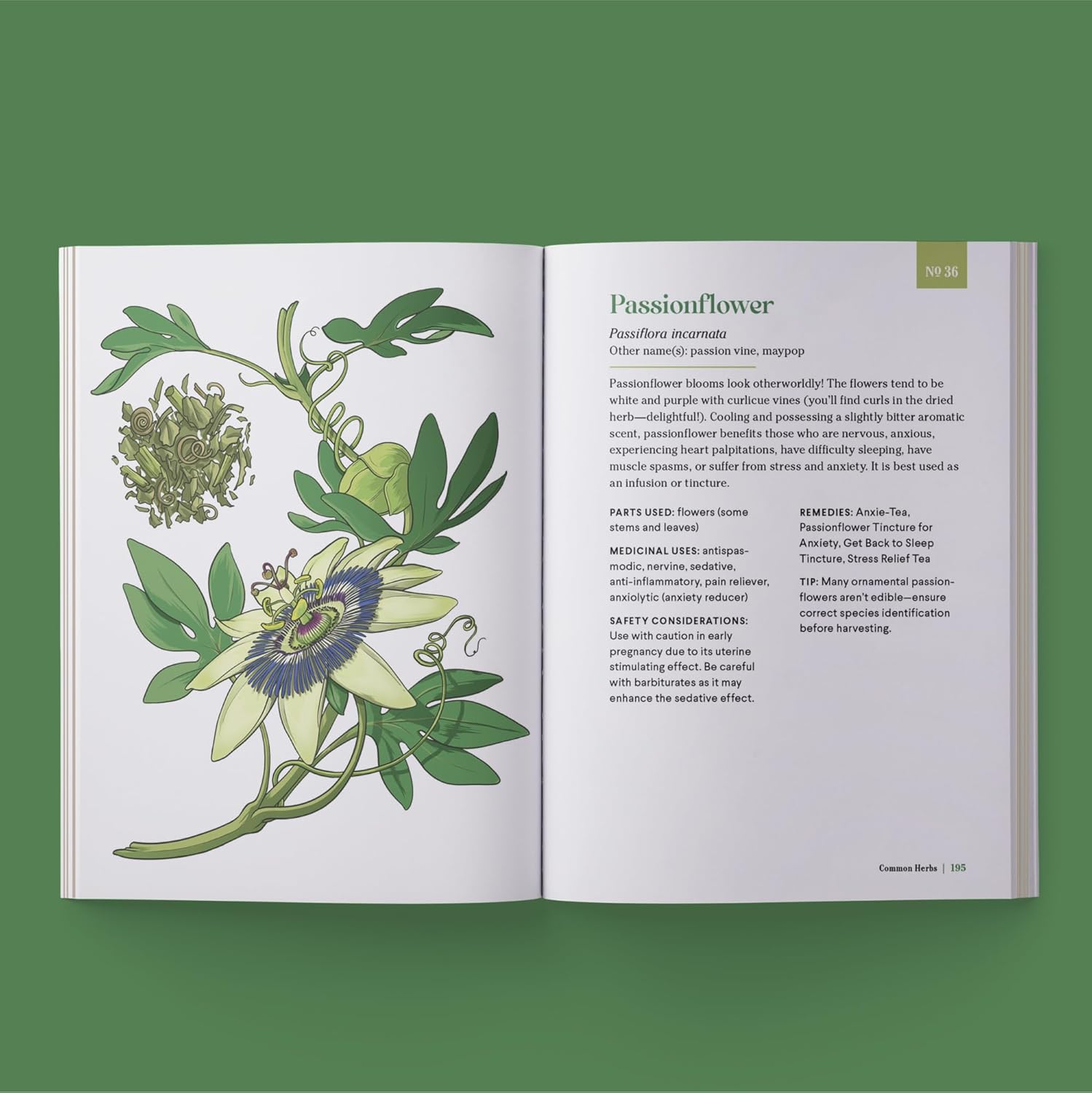 The Little Encyclopedia of Herbal Medicine: 100 Common Remedies for Everyday Ailments