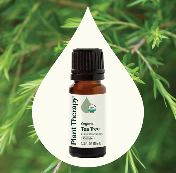 Essential Oils - Organic Tea Tree