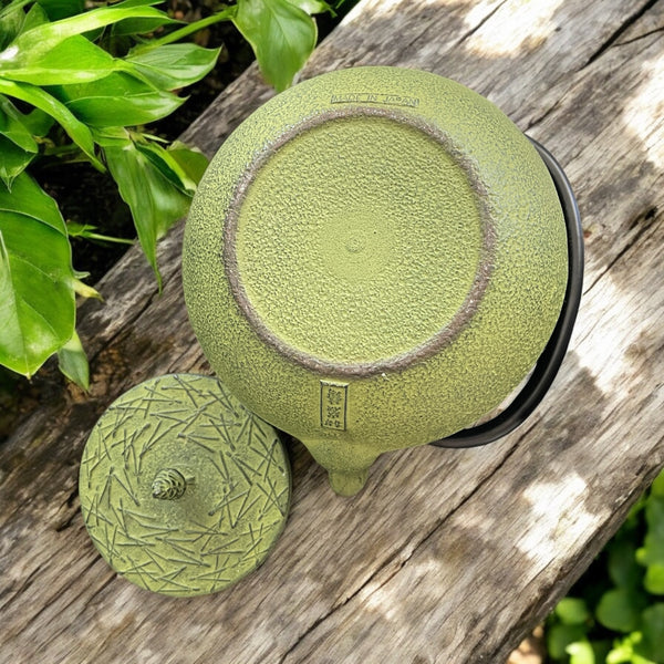 Vintage Teapot - Green Cast Iron with Infuser (Iwachu Tetsubin, Japan)