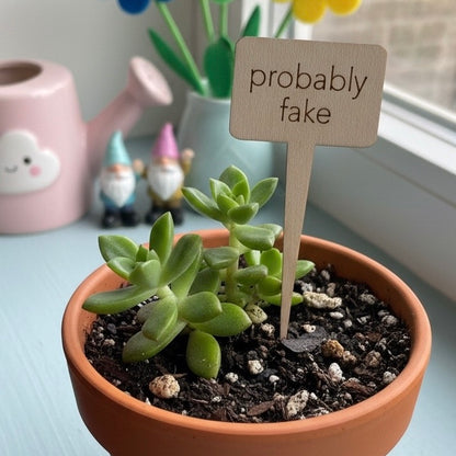 Snarky Wood Plant Markers