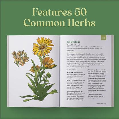 The Little Encyclopedia of Herbal Medicine: 100 Common Remedies for Everyday Ailments