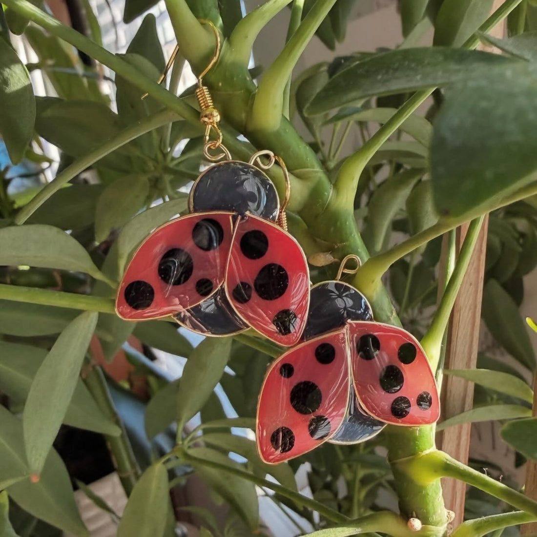 Katty’s Corner Earrings - Ladybugs