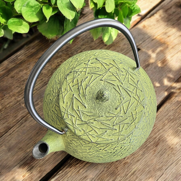 Vintage Teapot - Green Cast Iron with Infuser (Iwachu Tetsubin, Japan)