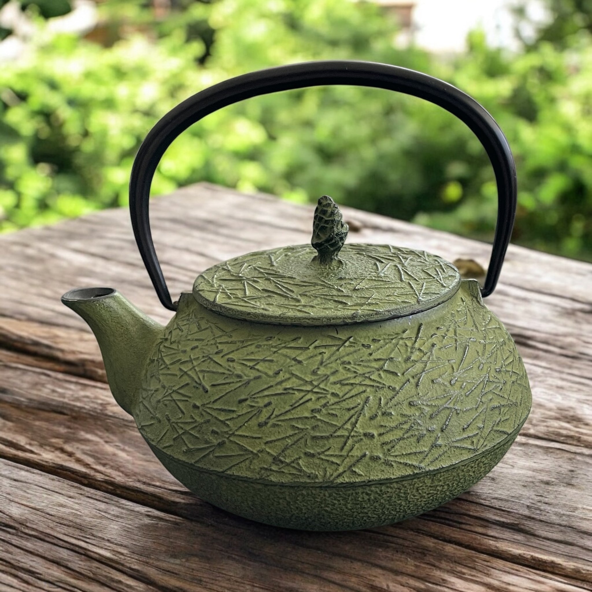Vintage Teapot - Green Cast Iron with Infuser (Iwachu Tetsubin, Japan)