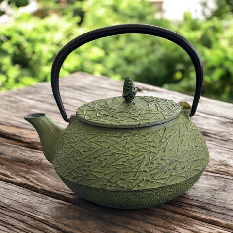 Vintage Teapot - Green Cast Iron with Infuser (Iwachu Tetsubin, Japan)