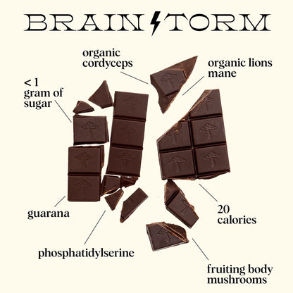 Mushroom Chocolates - Brainstorm Singles
