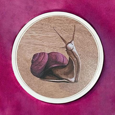 Vinyl Sticker - Mr. Snail