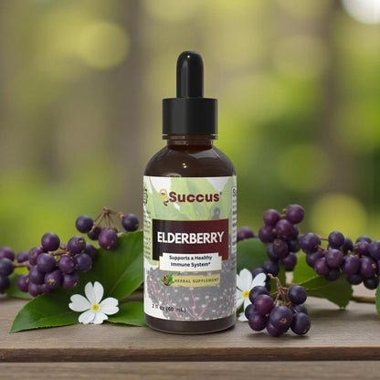 Elderberry Tincture - Premium Seasonal Wellness Support