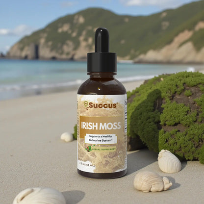 Irish Sea Moss Tincture - Endocrine System Support