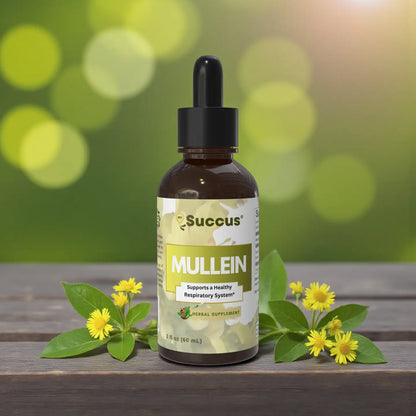 Mullein Tincture Leaf Extract -  Respiratory System Support