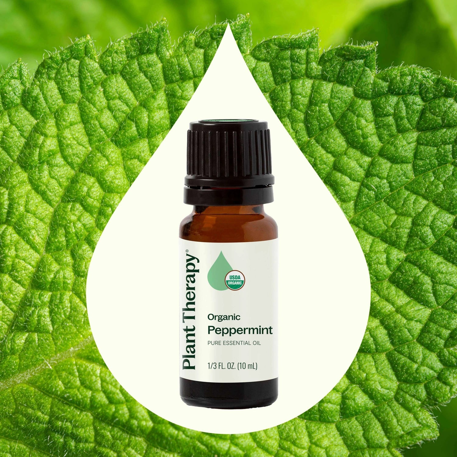 Essential Oils - Organic Peppermint