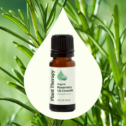 Essential Oils - Organic Rosemary 1,8-Cineole