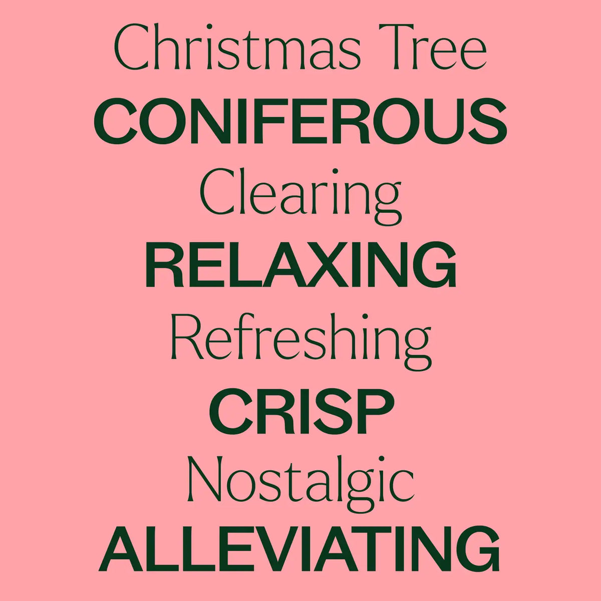 Essential Oils - Christmas Tree