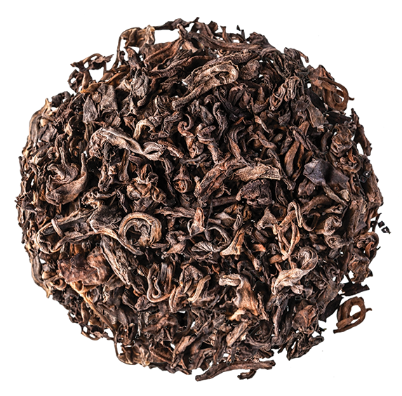 Ancient Puer