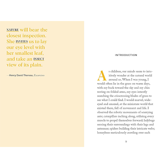 Pocket Nature: Beekeeping