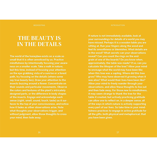 Pocket Nature: Beekeeping