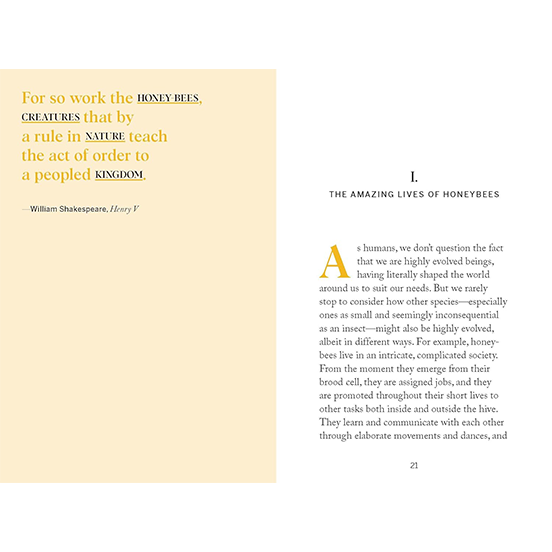 Pocket Nature: Beekeeping