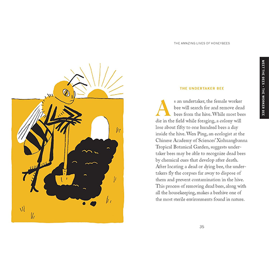 Pocket Nature: Beekeeping