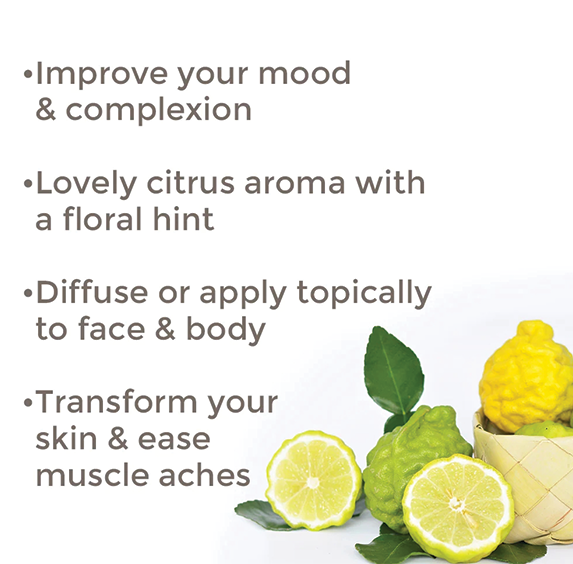 Essential Oils - Bergamot