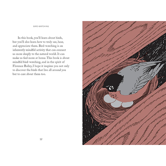 Pocket Nature: Bird-Watching