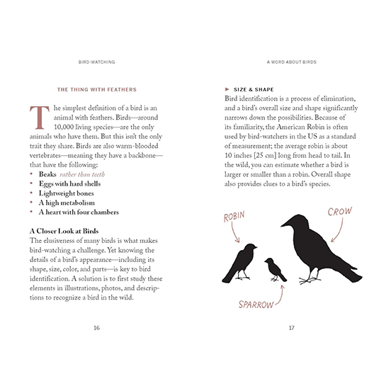 Pocket Nature: Bird-Watching