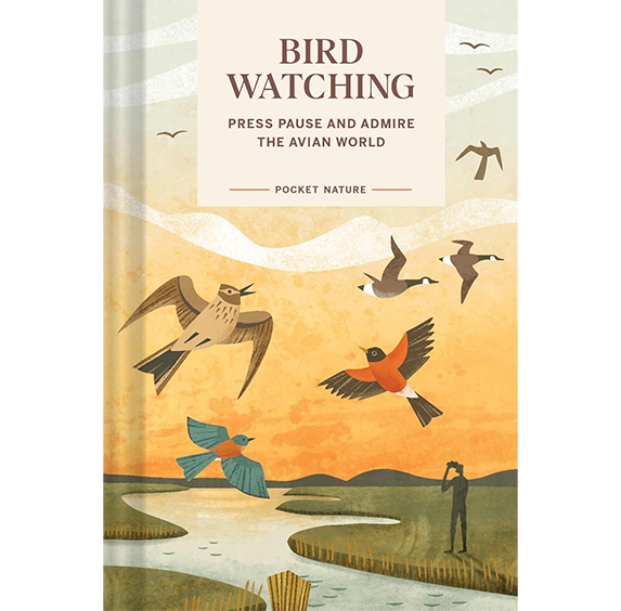 Pocket Nature: Bird-Watching