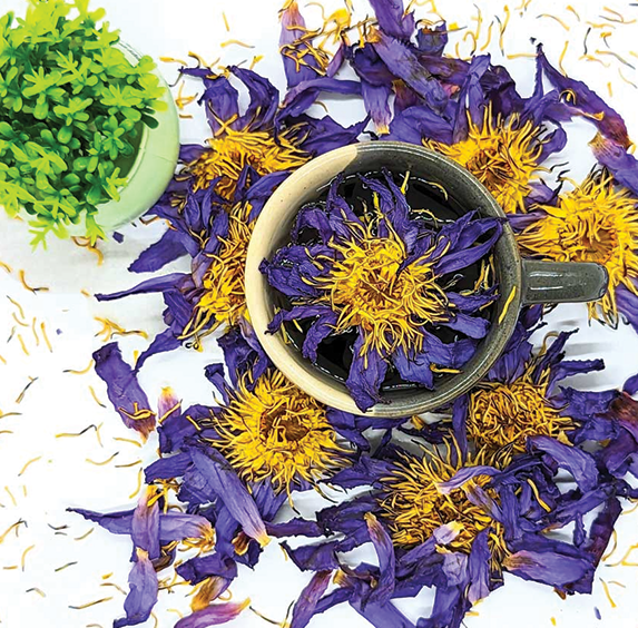 Blue Lotus Flowers (sold by weight)