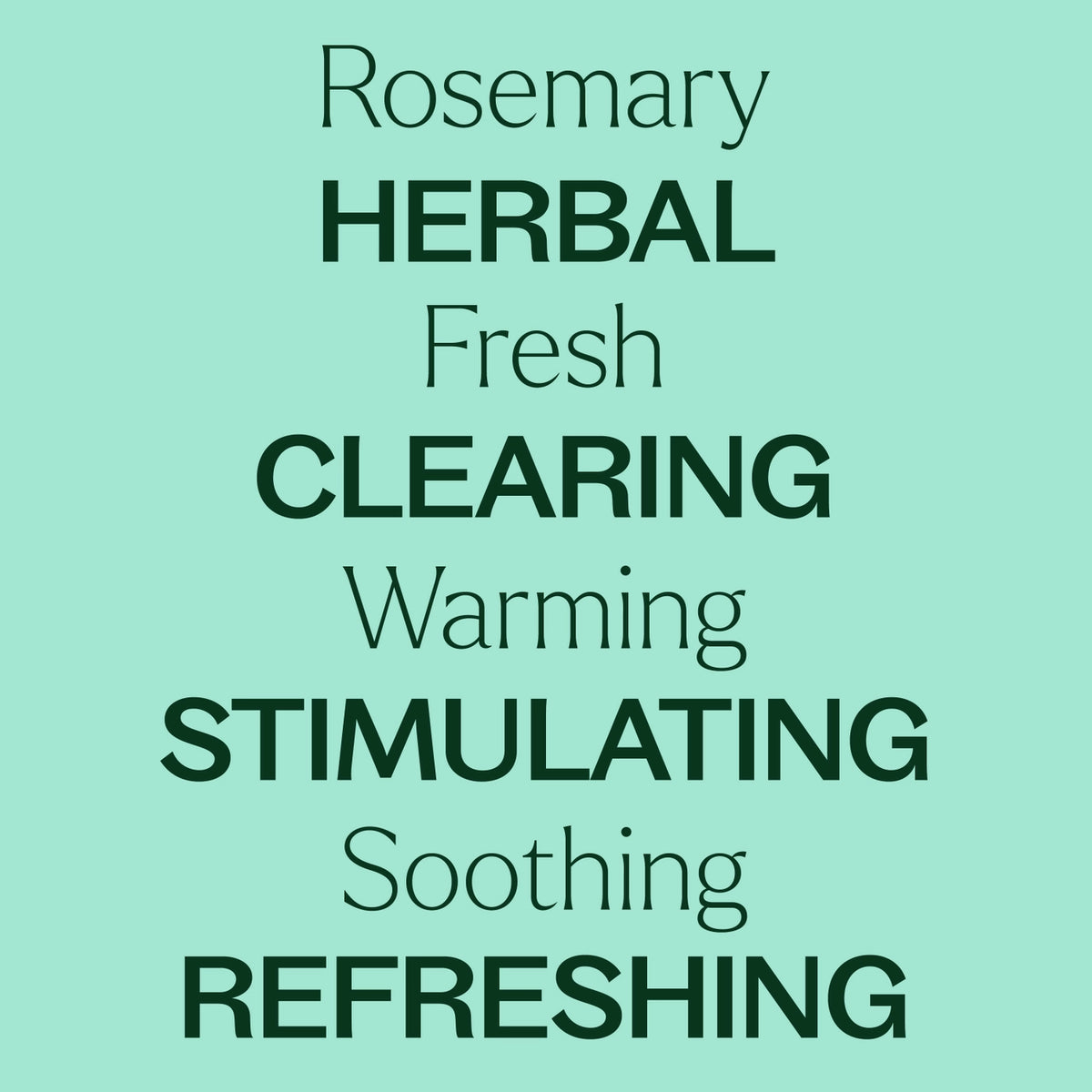 Essential Oils - Organic Rosemary 1,8-Cineole