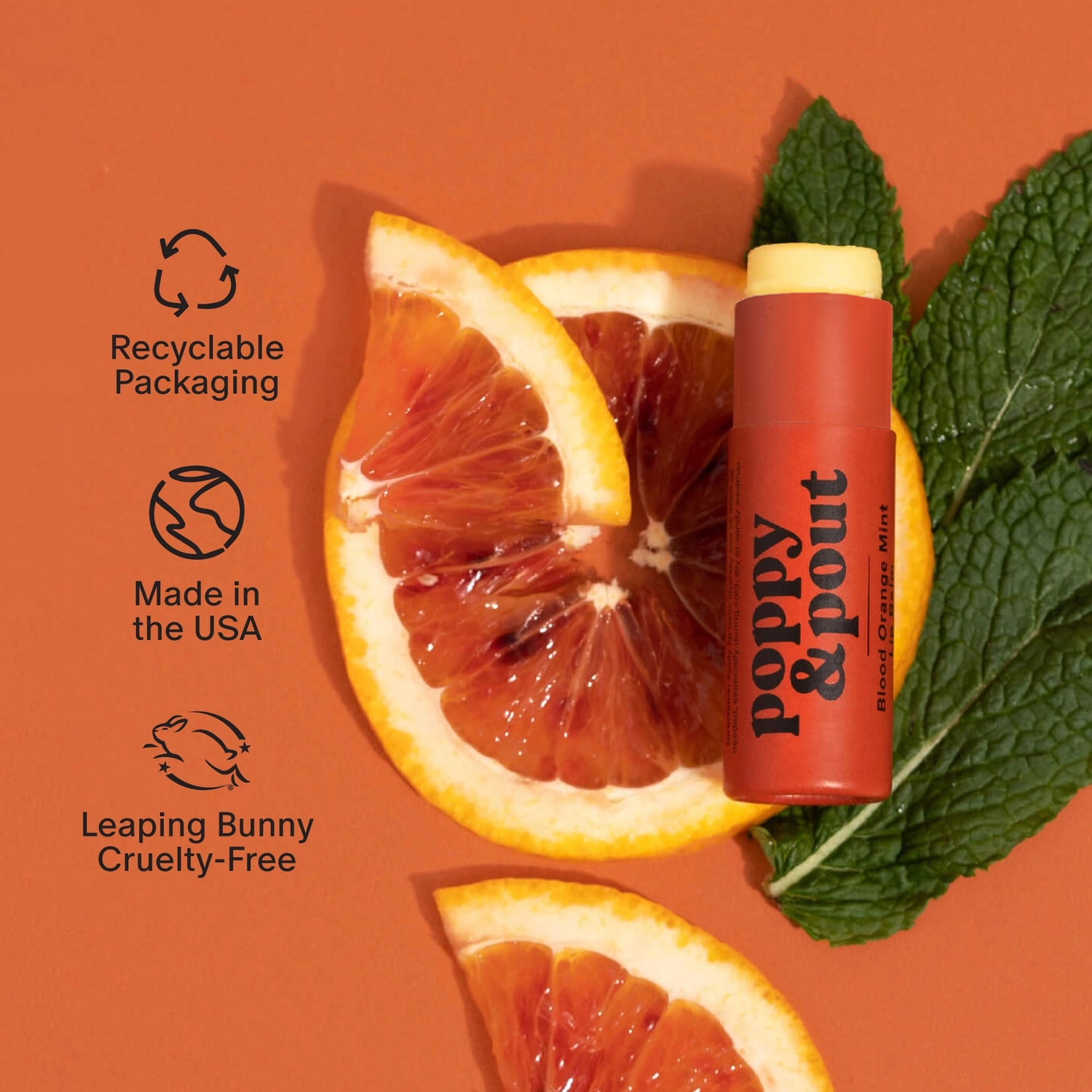 Lip Balm - Blood Orange Mint