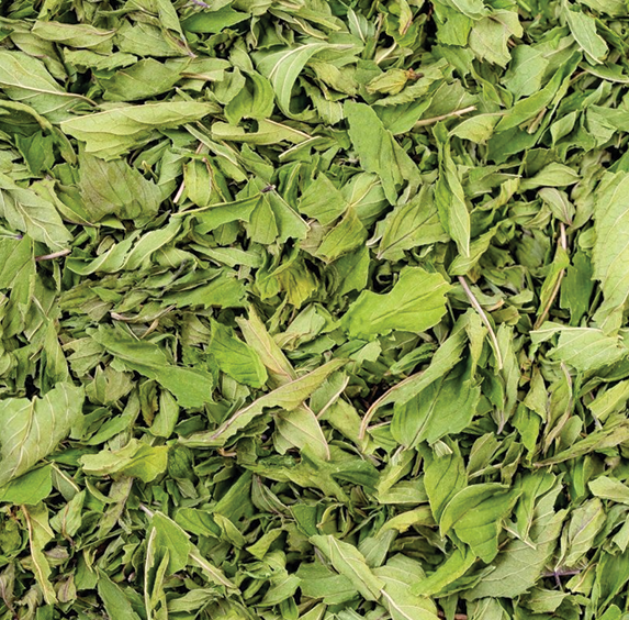 Chocolate Peppermint (sold by weight)