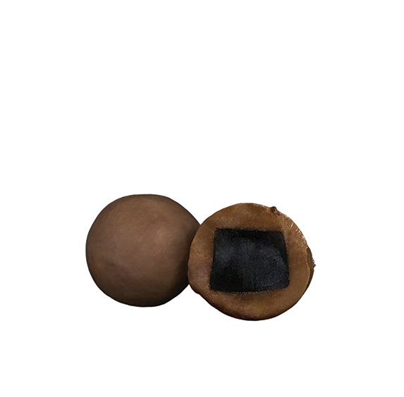 Danish Chocolate Covered Licorice - Crunchy Toffee