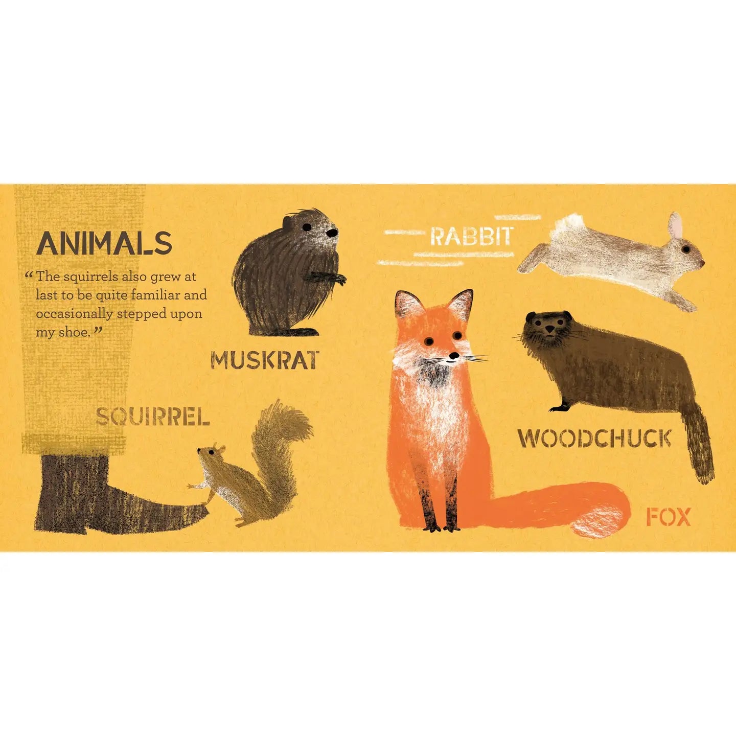 Walden: A Nature Primer
