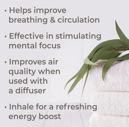 Essential Oils - Organic Eucalyptus Globulus
