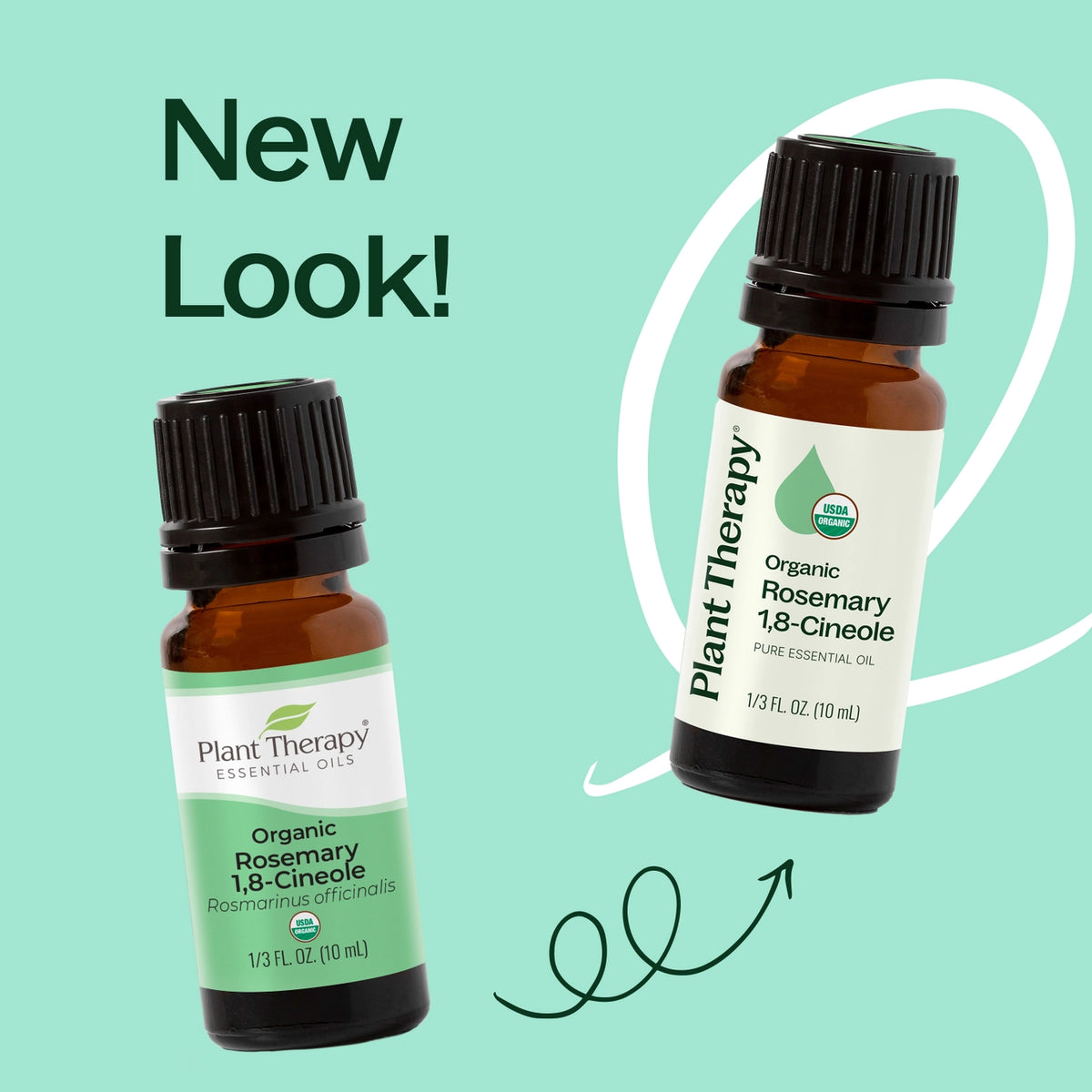 Essential Oils - Organic Rosemary 1,8-Cineole