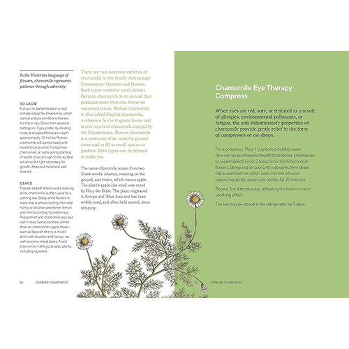 Herbal Handbook: 50 Profiles in Words and Art from the Rare Book Collections of The New York Botanical Garden