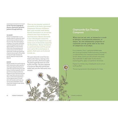 Herbal Handbook: 50 Profiles in Words and Art from the Rare Book Collections of The New York Botanical Garden