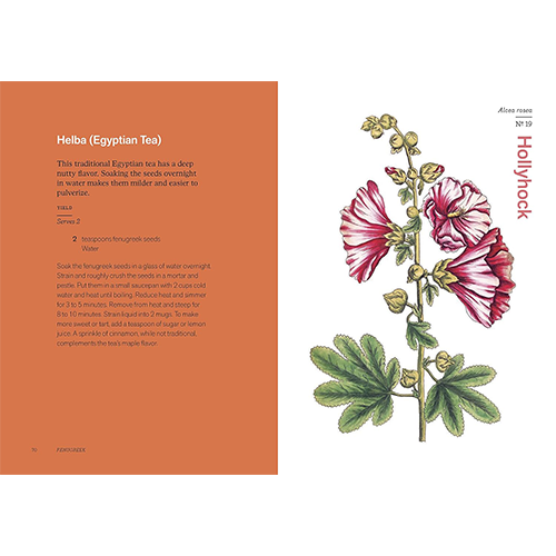 Herbal Handbook: 50 Profiles in Words and Art from the Rare Book Collections of The New York Botanical Garden