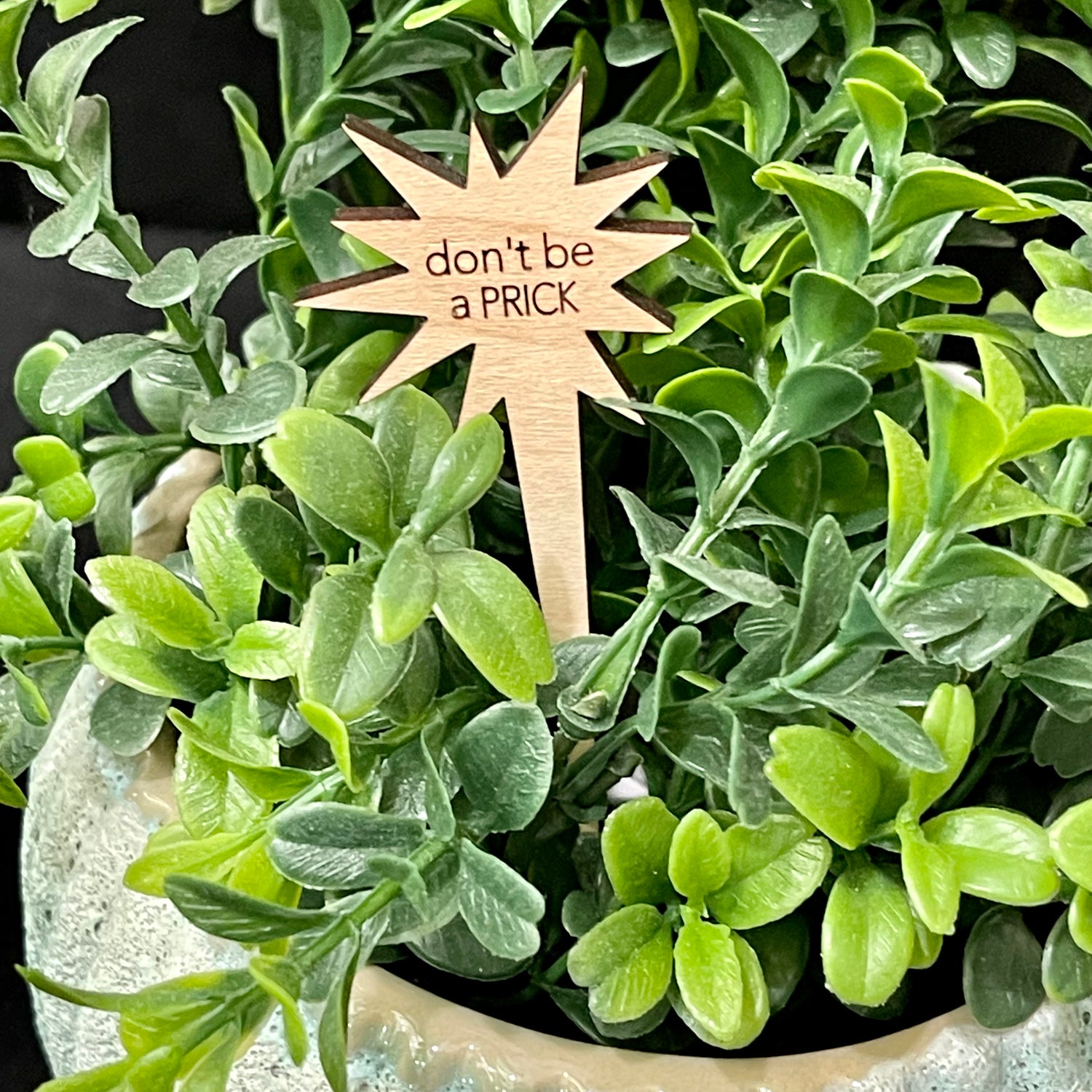 Snarky Wood Plant Markers