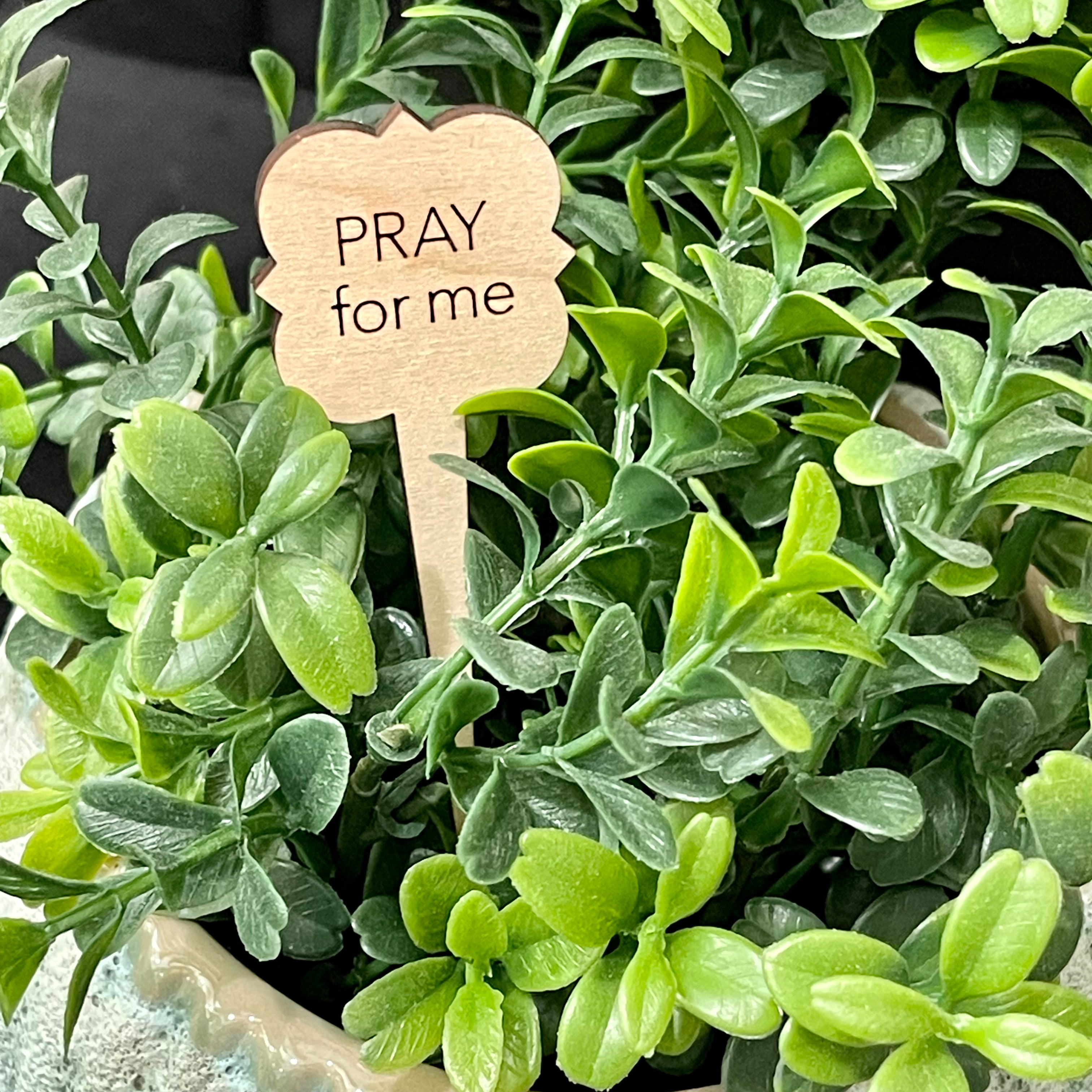 Snarky Wood Plant Markers