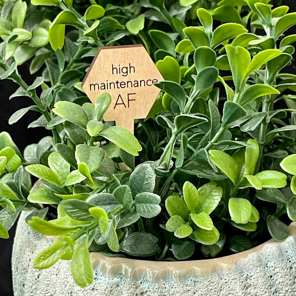 Snarky Wood Plant Markers