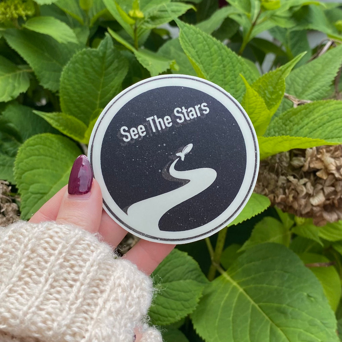 Vinyl Sticker - See the Stars