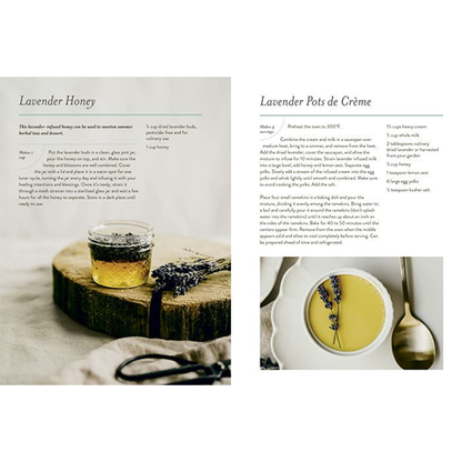 Our Kindred Home: Herbal Recipes, Plant Wisdom, and Seasonal Rituals for Rekindling Connection with the Earth