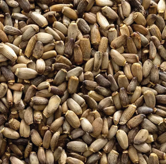 Milk Thistle Seed (sold by weight)