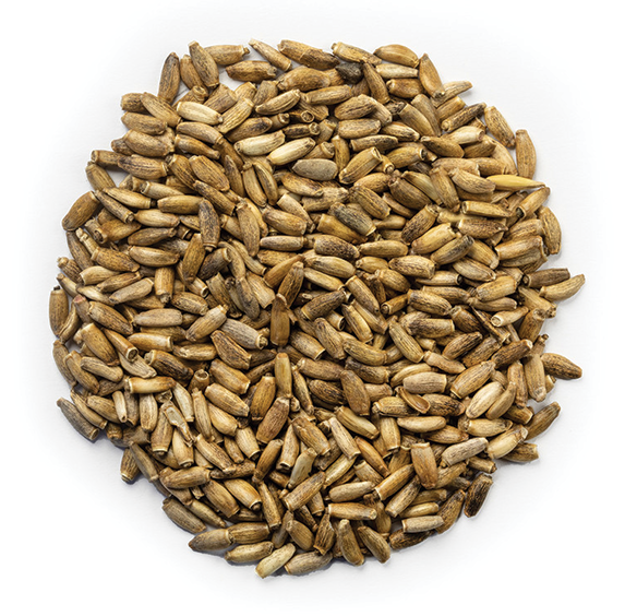 Milk Thistle Seed (sold by weight)