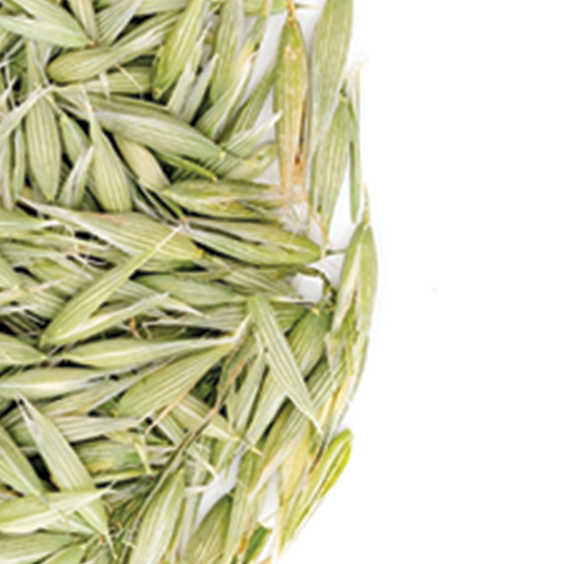 Milky Oats (sold by weight)